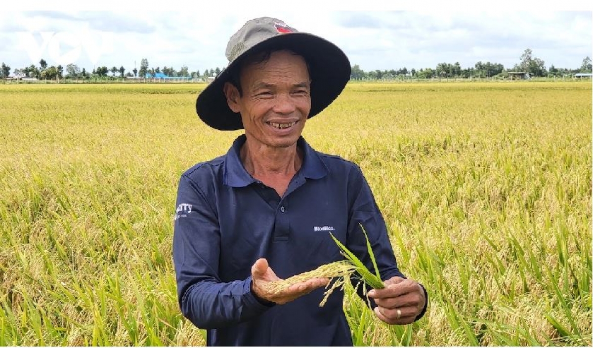 Kuăn pơlê pêi chiâk deăng hơniâp ro a tơbăng klâng báu ki pêi pro tiô túa “Mơdâ pêt báu rơkê kơchoh-xĭng pơtâ”