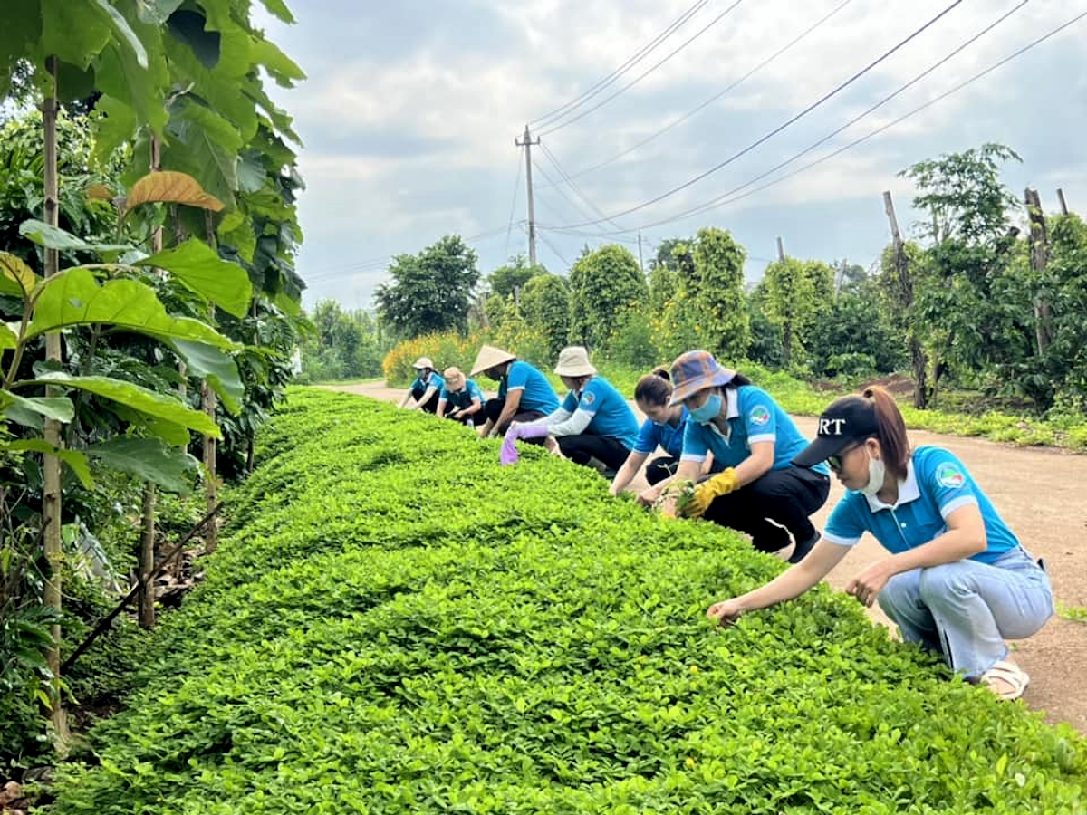 Phụ nữ tích cực dọn vệ sinh khu dân cư xanh, sạch, đẹp