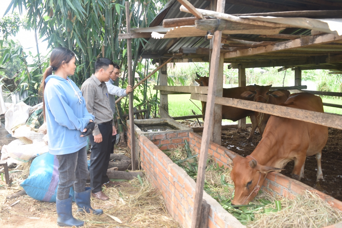 
Ea Súp tŏk bŏk tơlĕch jang lơ trong jang mŭk drăm tơgŭm kon pơlei tơjur dơnuh kơjăp ‘lơ̆ng.