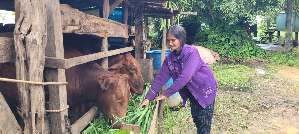 Mâu ro ki hiăng ai kuăn ta xê to cho tơmeăm păn, mê ối cho tơdroăng ki hâk tơngah vâ kơdroh kơtiê dêi kuăn pơlê kơpong kơtiê