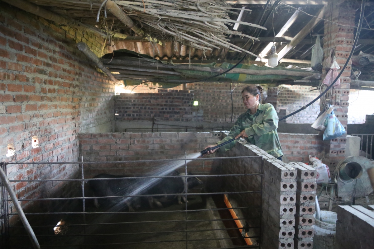 Kơnờm tam phan, ròng phan, pah nam hìu bơnhă bi Chung Thị Bun lơh geh priă jền pơgăp 250 tơlak đong