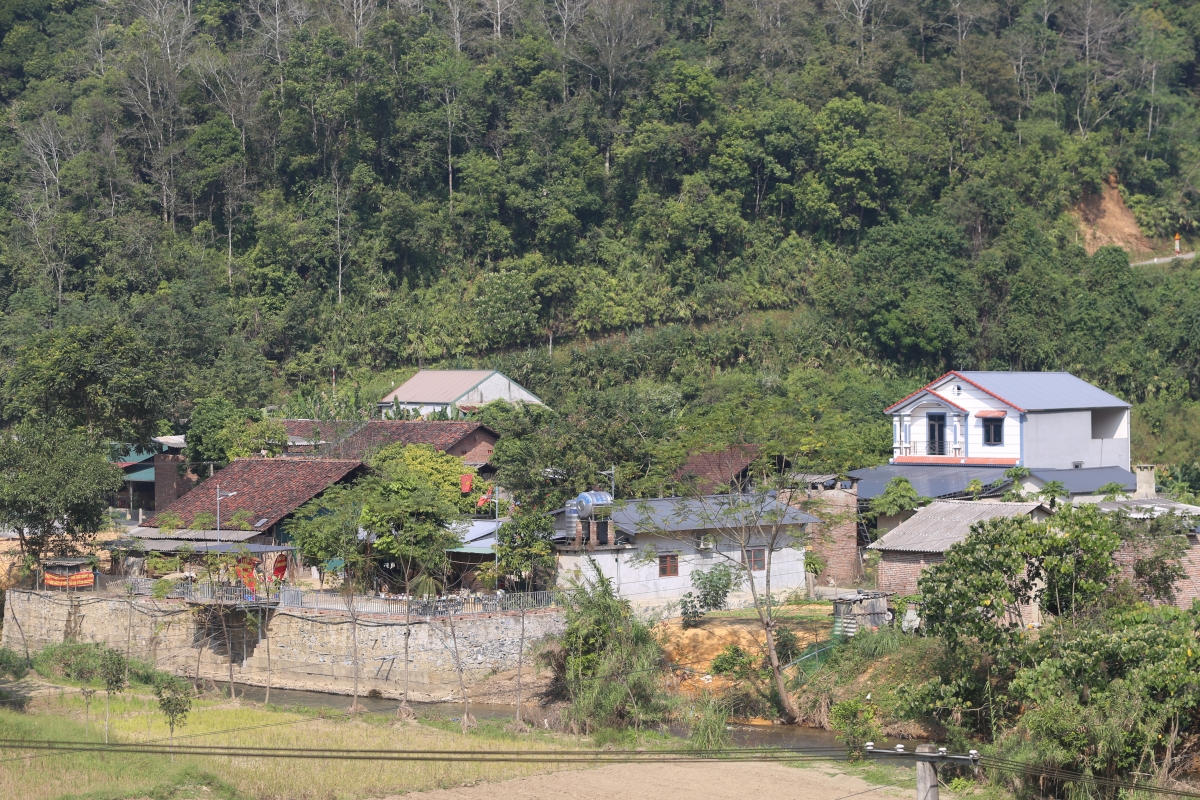 Hơdôm boh sang man pơdong prong kơjăp, dlông tal jai hrơi lu ƀơi kual lŏn Tam Kim