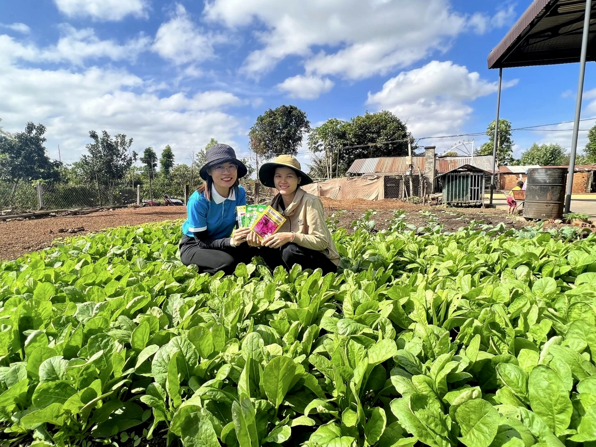 
Tơdrong jang Pơgar 'nhot 'lơ̆ng đei lơ pơmai oh pơm jang tơ̆ hnam