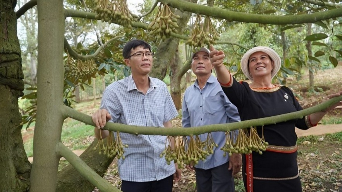 Những nội dung tập huấn của các Tổ truyền thông cộng đồng ở Đắk Lắk chú trọng tuyên truyền giải quyết những vấn đề cấp thiết đối với phụ nữ và trẻ em, giúp đồng bào tự tin phát triển kinh tế, xóa đói nghèo. Nguồn ảnh: Báo Đăk Lăk