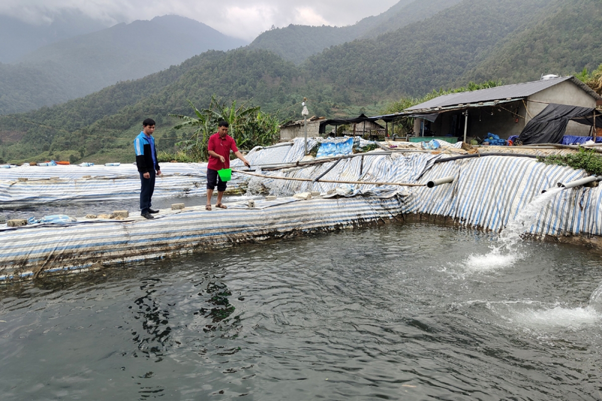 Chỉ cần có nguồn nước phù hợp và nắm vững khoa học kỹ thuật là người dân có thể lập nghiệp với nghề nuôi cá nước lạnh