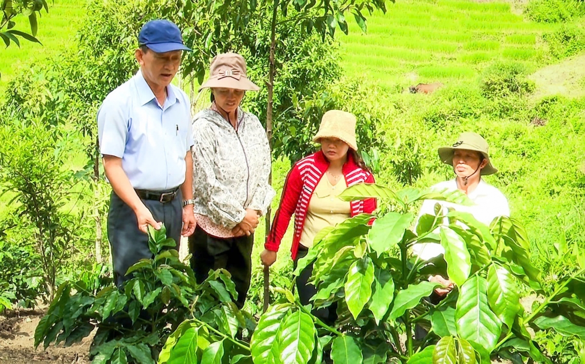 Wa Dương Văn Trang, Bí thư n’gor ủy Kon Tum khân ntrong ƀư tăm cà phê bah nuĭh Xơ Đăng xă Mường Hoong
 