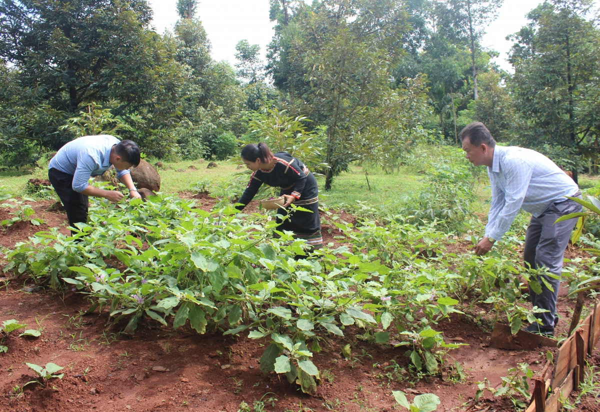 Du khách có những trải nghiệm phong phú trong hành trình du lịch tại Đắk Lắk