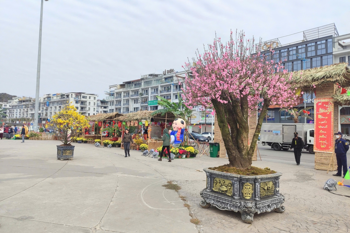Sự kiện diễn ra tại Cung Quy hoạch, Triển lãm, Hội chợ tỉnh Quảng Ninh, thu hút đông đảo người dân và du khách tới trải nghiệm nét văn hóa độc đáo các dân tộc Quảng Ninh vào ngày Tết