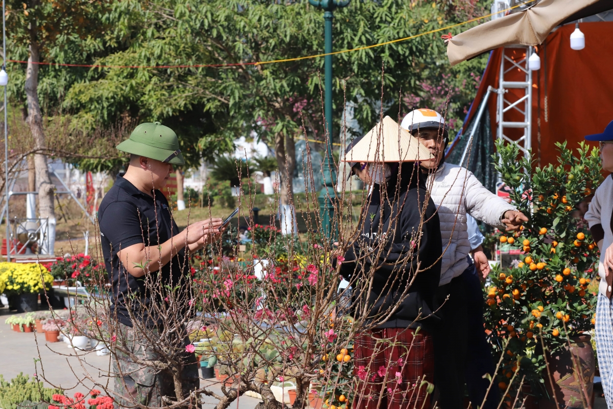 Đông đảo người dân, du khách đến với chợ hoa xuân để sắm Tết...