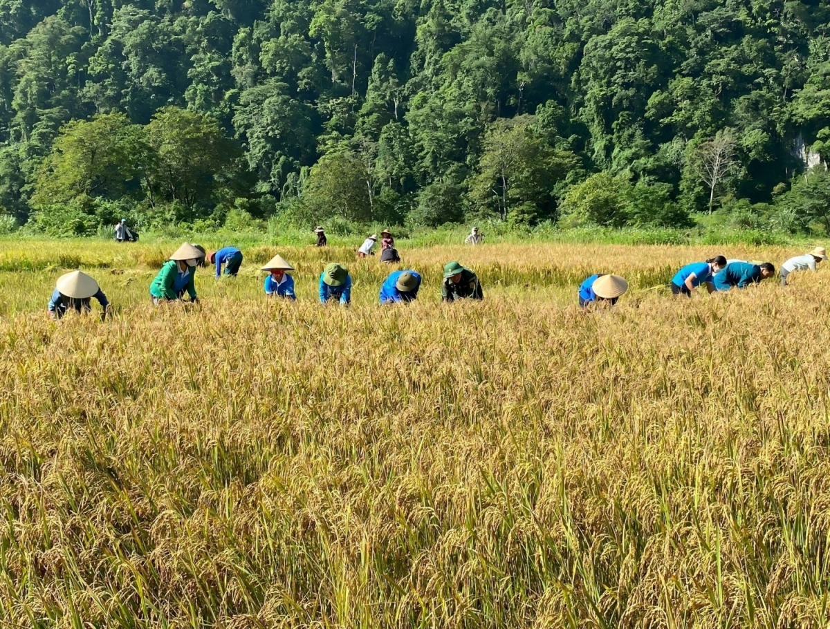 Ƀlàng sre Rục Làn tềng ală sèng bơnơm lŭ vôi