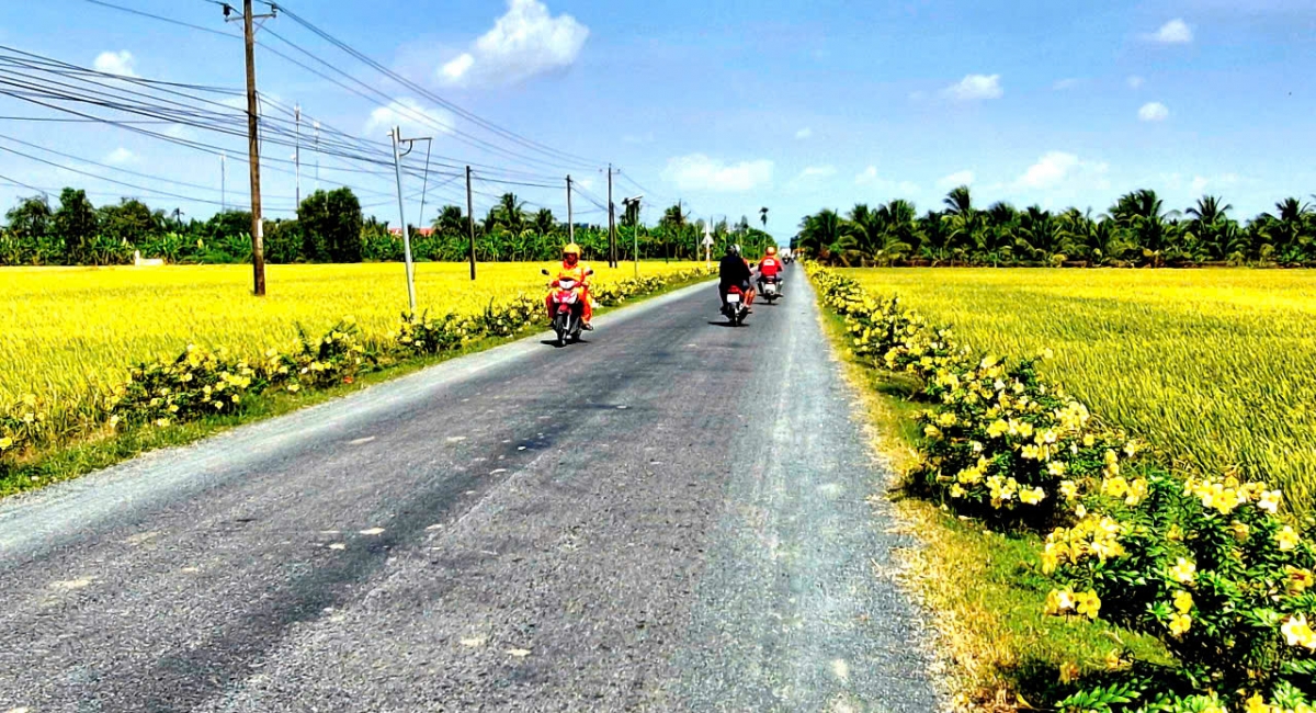 Hạ tầng giao thông vùng nông thôn được đầu tư từng bước hoàn chỉnh