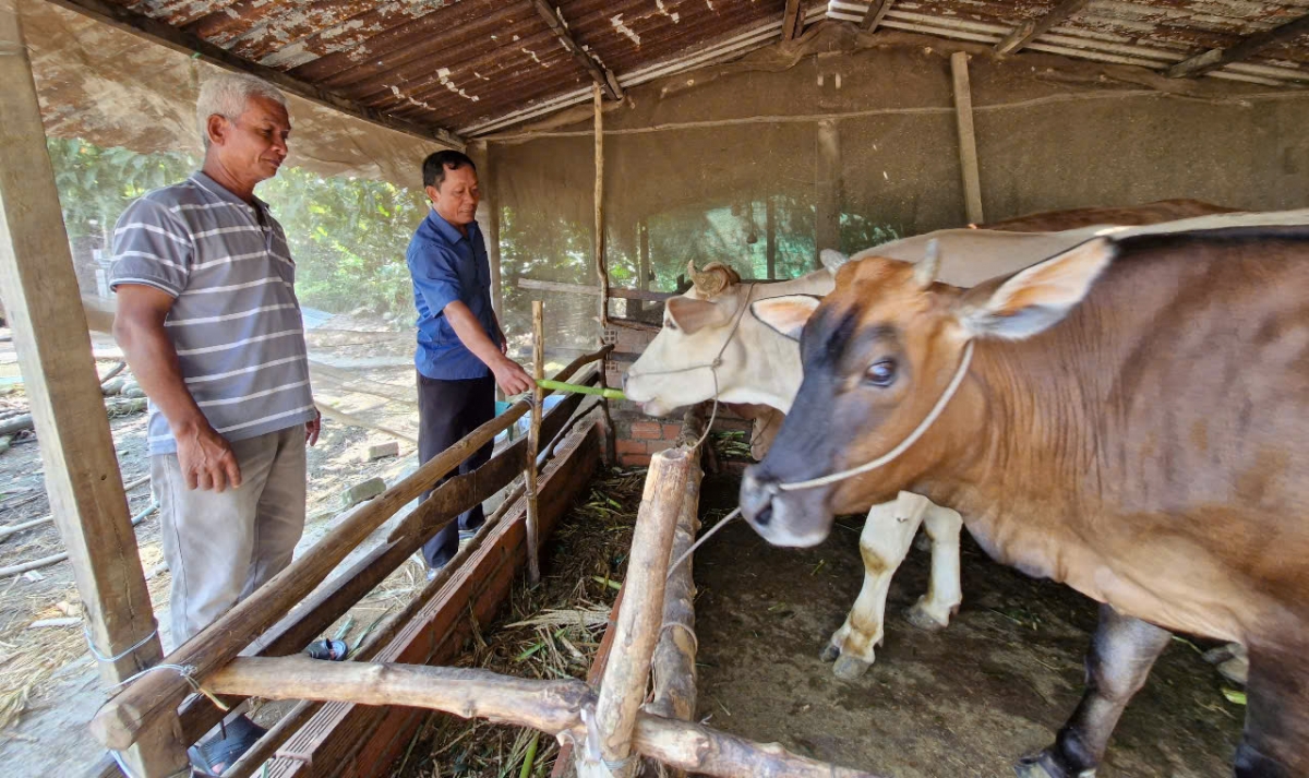 Ông Huỳnh Khêl với mô hình sinh kế được nhà nước hỗ trợ