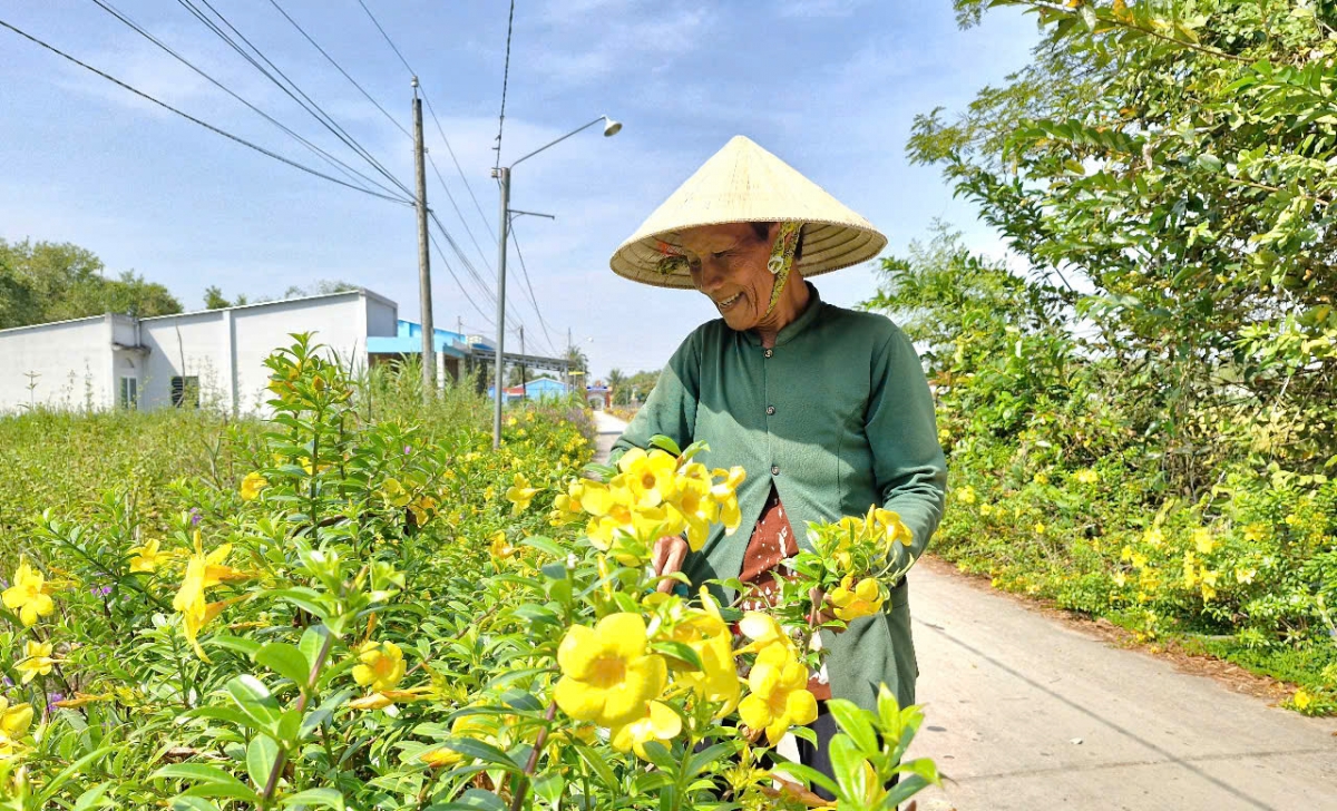 Tuyến đường nông thôn được trồng đầy hoa cùng những ngôi nhà tường khang trang