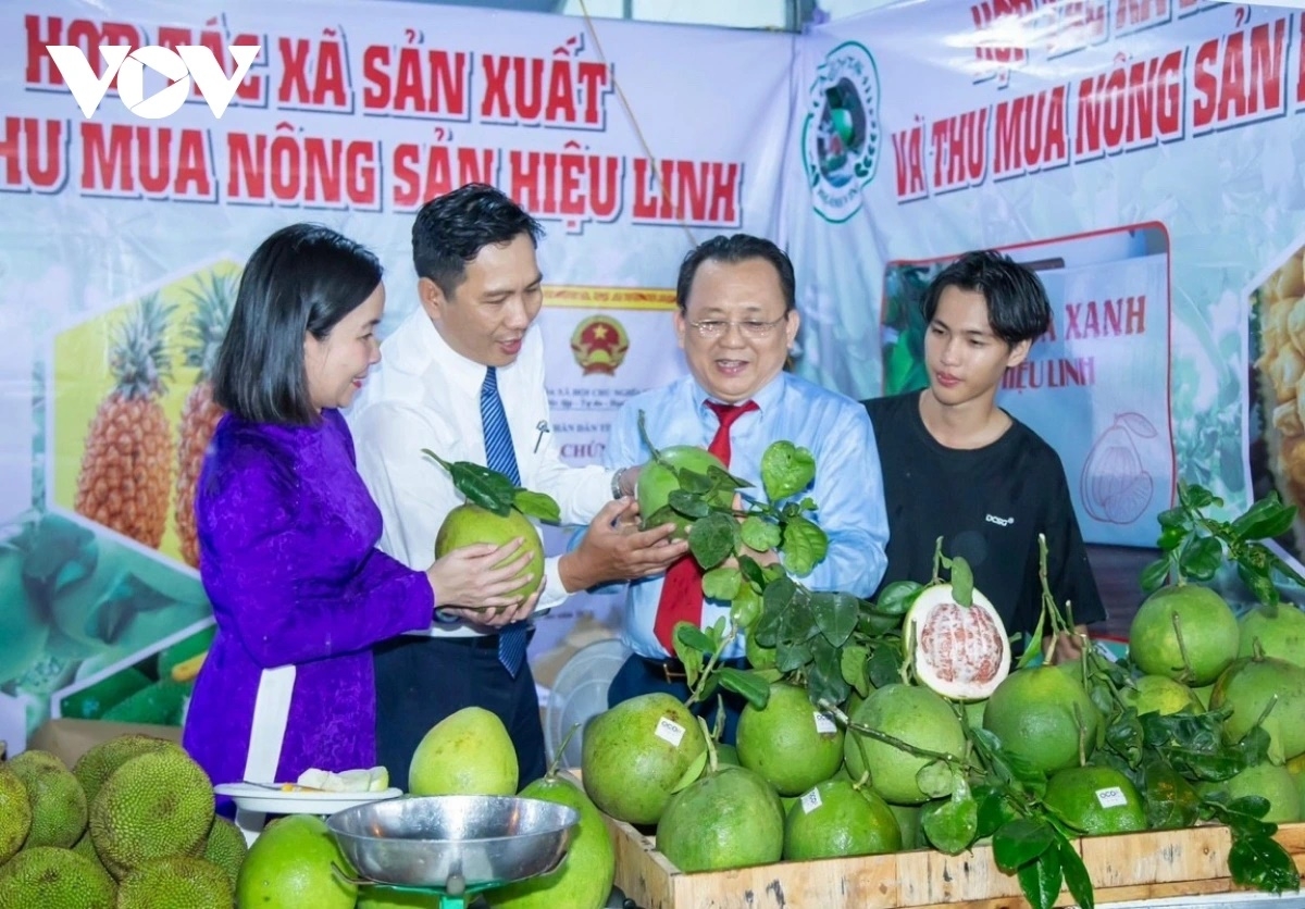 Tại miền núi tỉnh Khánh Hòa đã có nhiều nông sản liên kết giữa các hộ dân