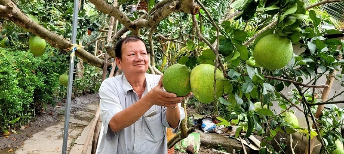 Ong Nguyễn Văn Bảy (ieu lac ong Bảy Đờn) daok mbiah di dalam puk Hòa Lợi