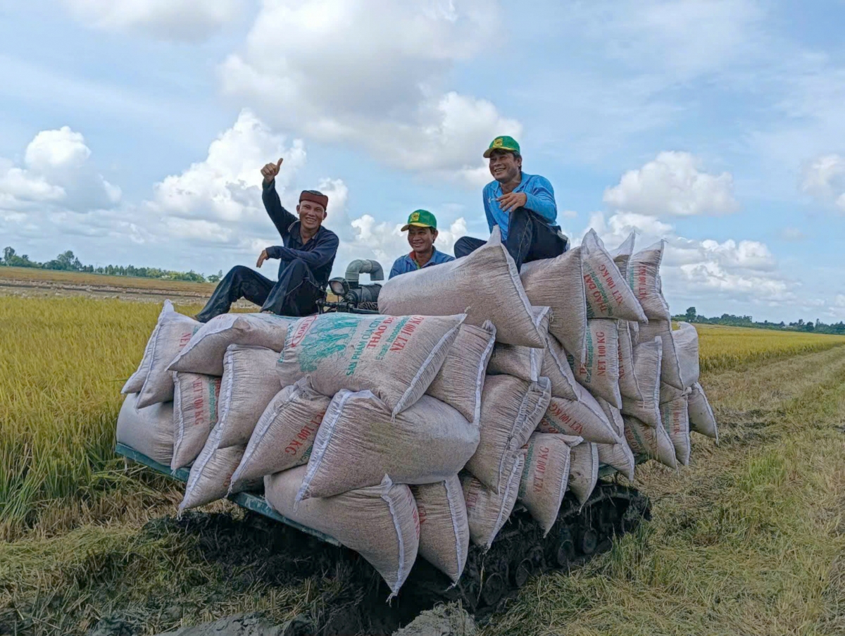 Kuăn pơlê pêi chiâk phiu ro châ xo hên tơmeăm