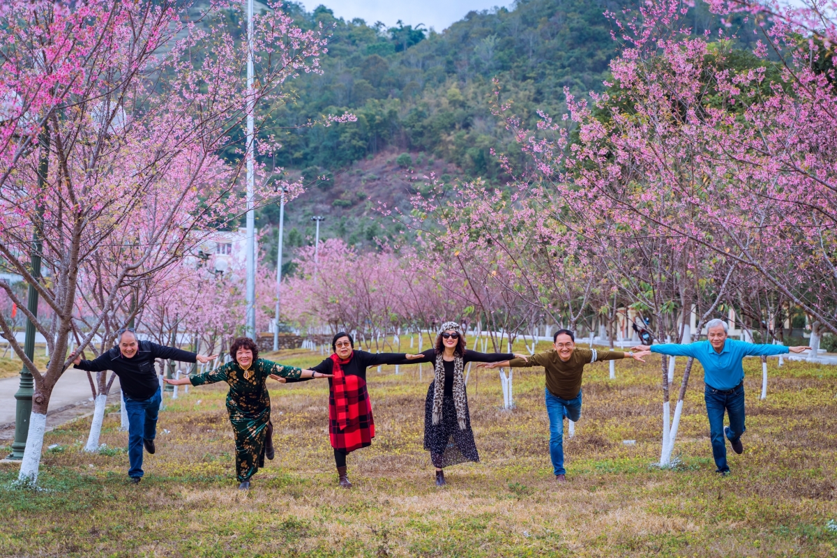  Cảnh sắc hữu tình cuốn hút du khách lựa chọn Mộc Châu du xuân
