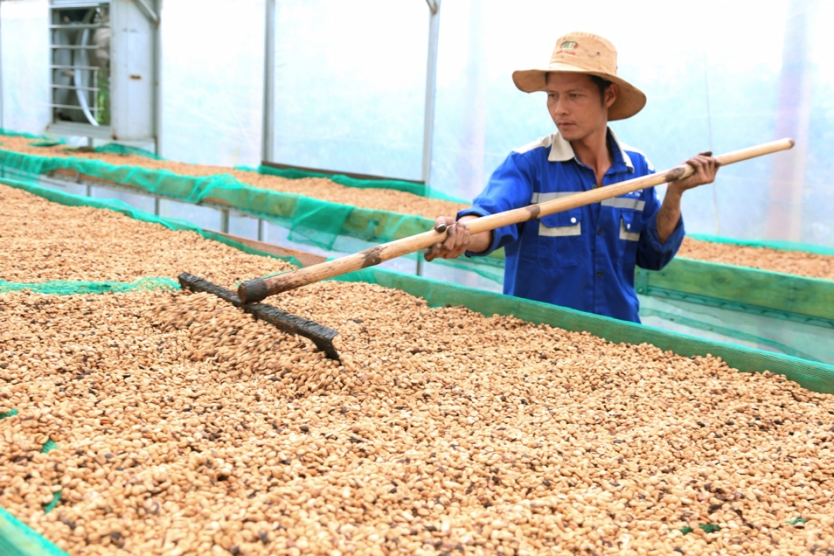 
Bơngai jang lơ̆m hơp tak xăh  Ea  Tân, apŭng  Krông  Năng, dêh char Đắk  Lắk tơplih ‘lơ̆ng mŭk drăm đơ̆ng jang hơdai pơm tơlĕch cheh phe ‘lơ̆ng