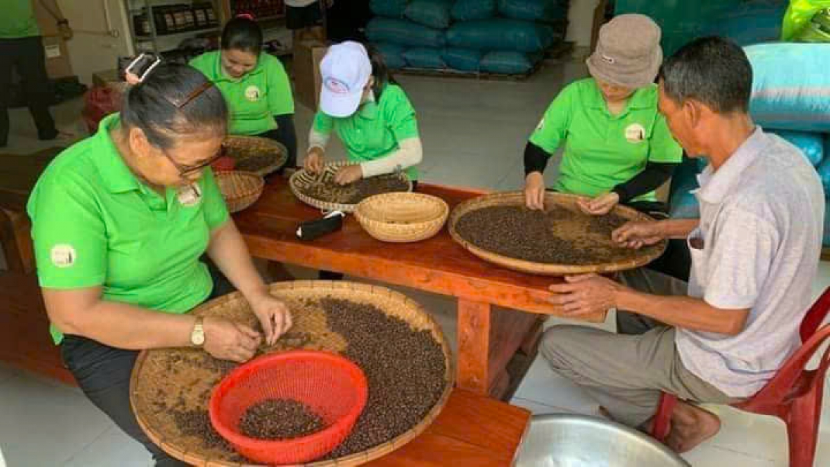 Nhà máy của Êđê Café sử dụng máy hiện đại để sàng tuyển nhưng tuyển thủ công vẫn là bắt buộc, nhằm có được sản phẩm cà phê chất lượng nhất