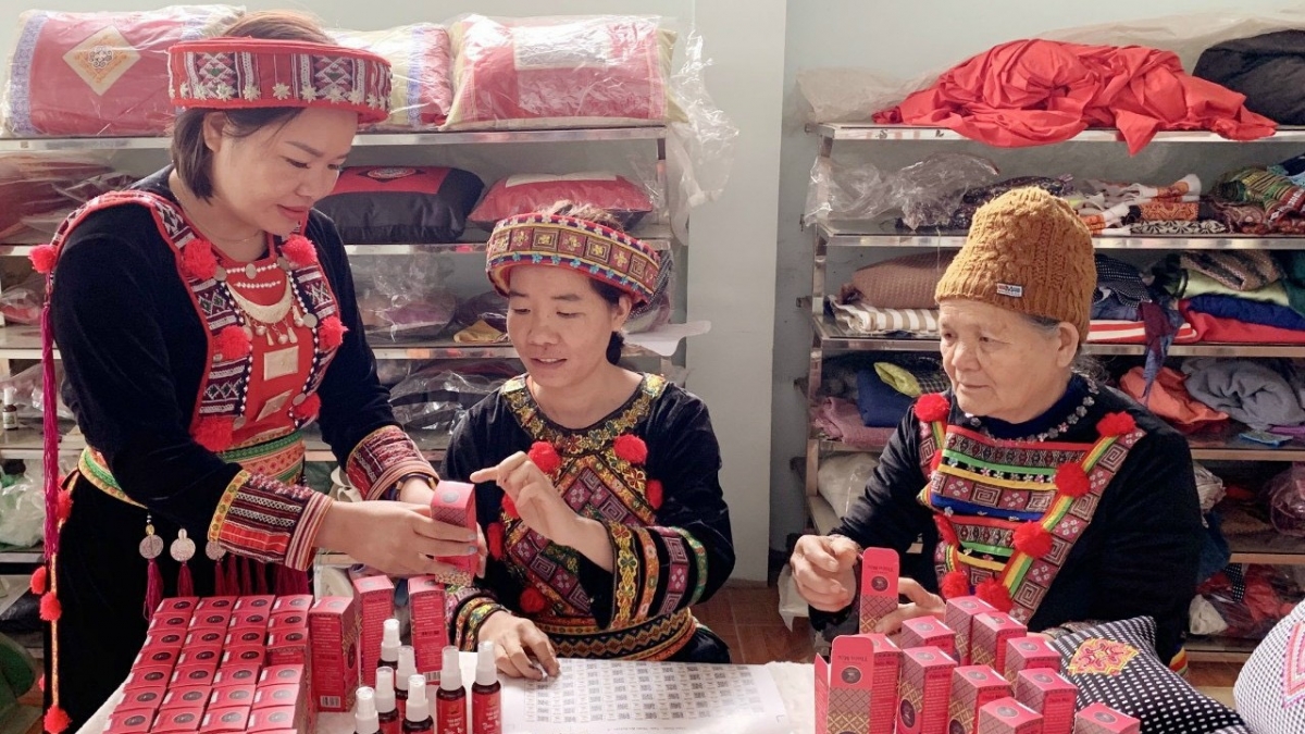 Các chương trình phát triển sản phẩm OCOP giúp
người dân vùng cao Bắc Kạn nâng cao thu nhập từ nông, lâm nghiệp.
Ảnh: Công Luận/VOV Đông Bắc