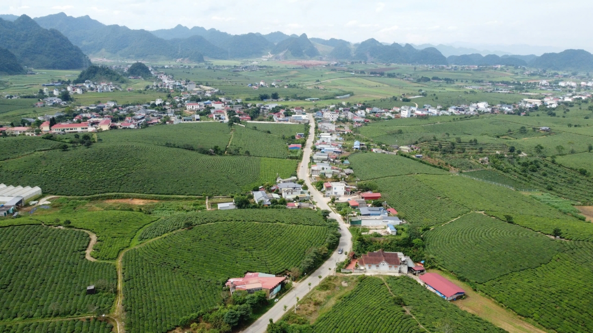Cao nguyên Mộc Châu trở thành thị xã
theo Nghị quyết của Ủy ban Thường vụ Quốc hội vào đầu tháng 2 năm nay.
Ảnh: Lê Hạnh/VOV Tây Bắc