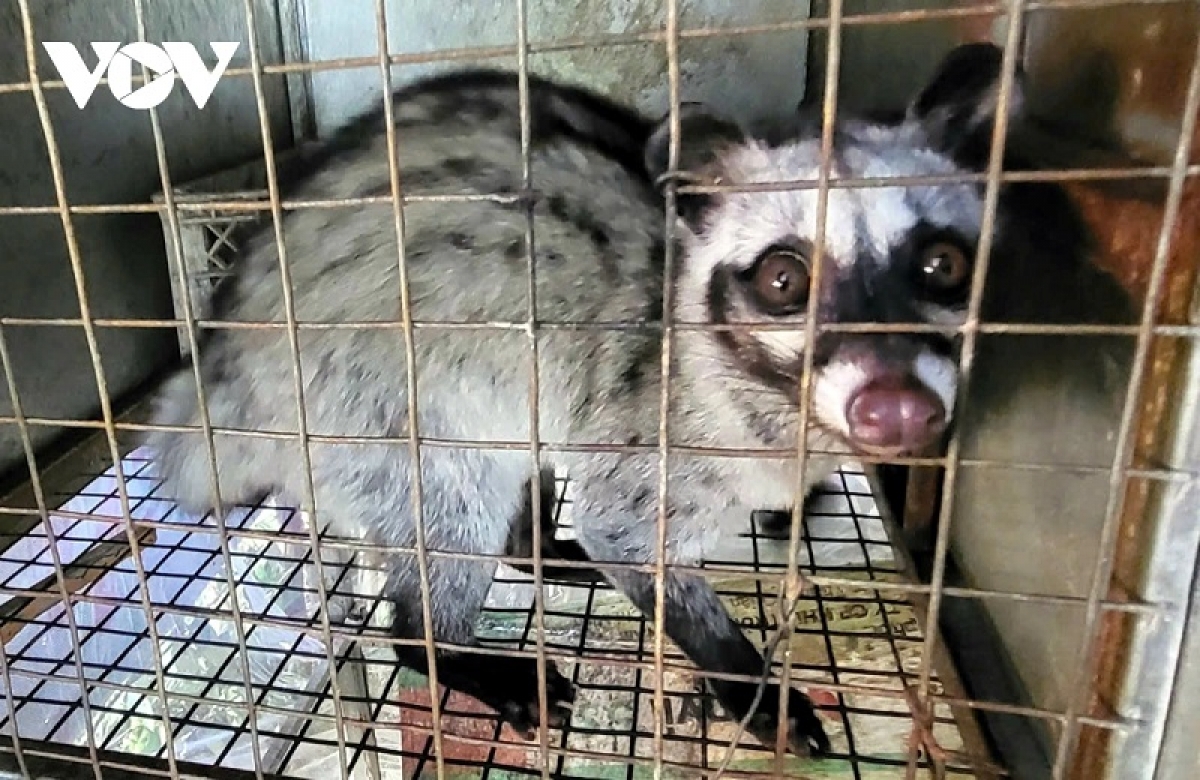 Raong meja daong ka urang kathaot