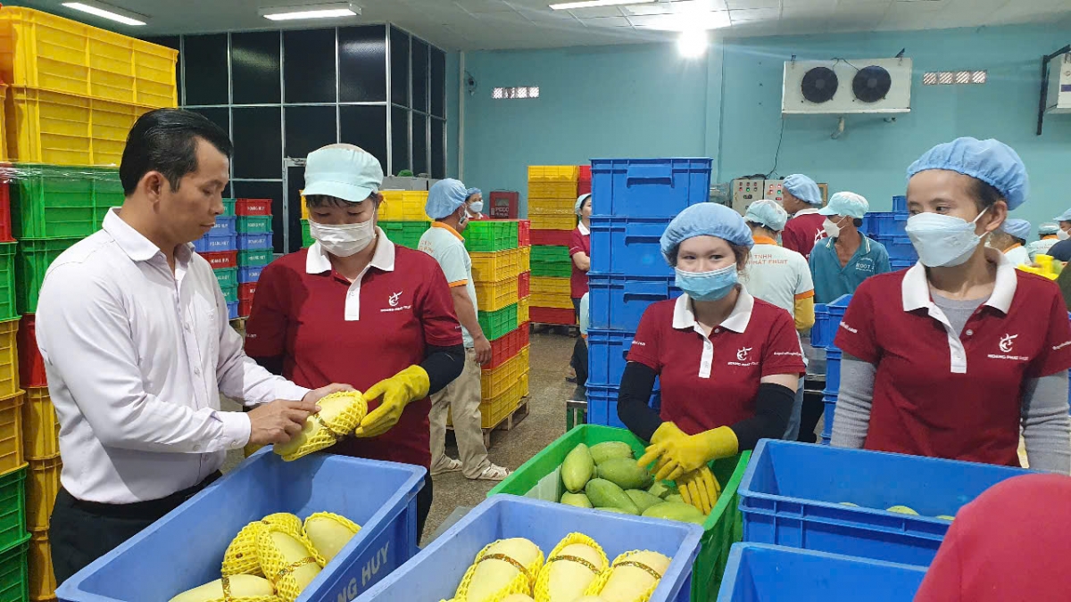 
Mpồl lơh sa kă bro lơgar Việt Nam pal geh broă lơh kwơ màng ngan ngồn, sền ngài rlau tai tàm tơrmù ƀà ală bơta hoàc huơr