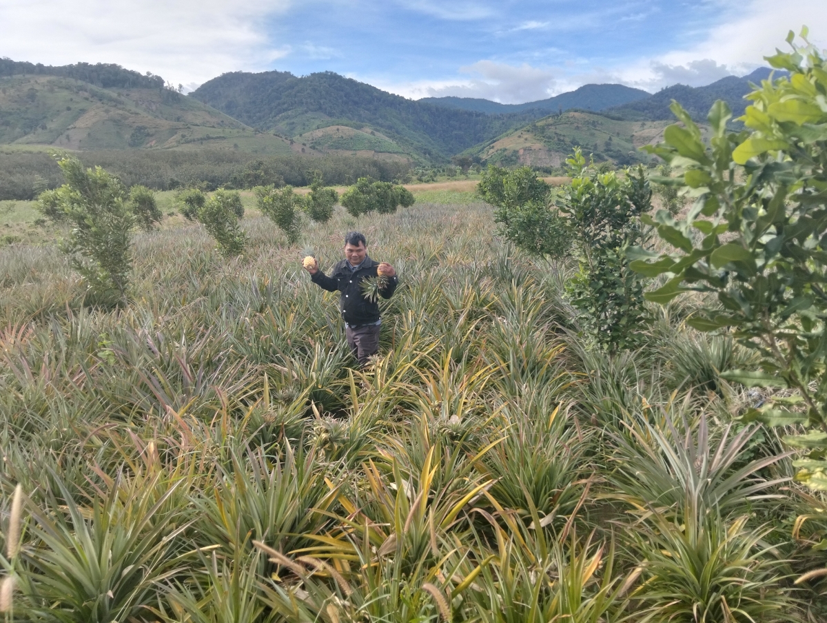  Pôa A Don ƀă troăng pêi pêt tơvât plâi mắc ca tung kơdrum pêt xik