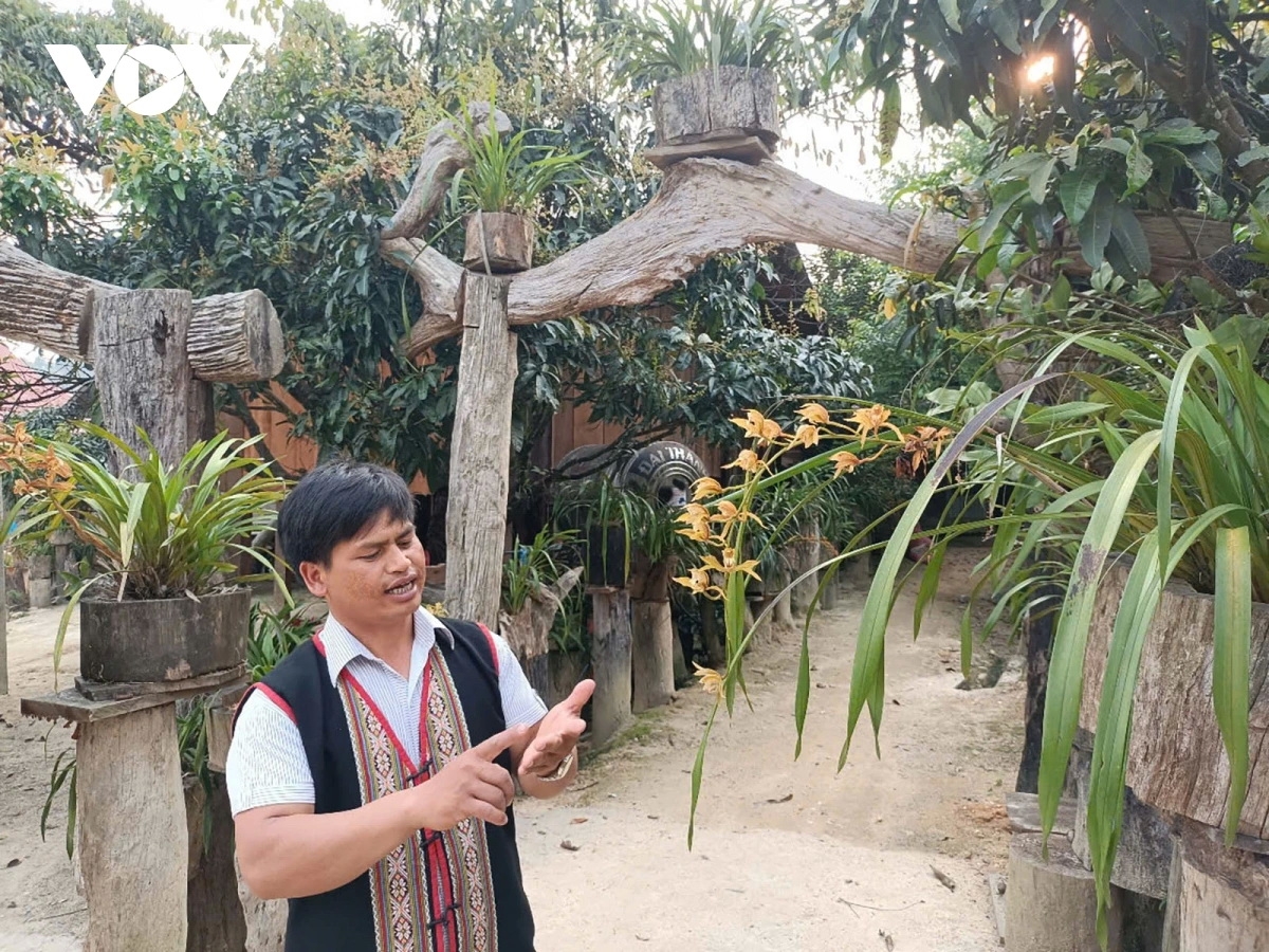 Anh A Hiền giới thiệu với khách du lịch về những loài lan mà dân làng Vi Rơ Ngheo đã bảo tồn nhân giống.  