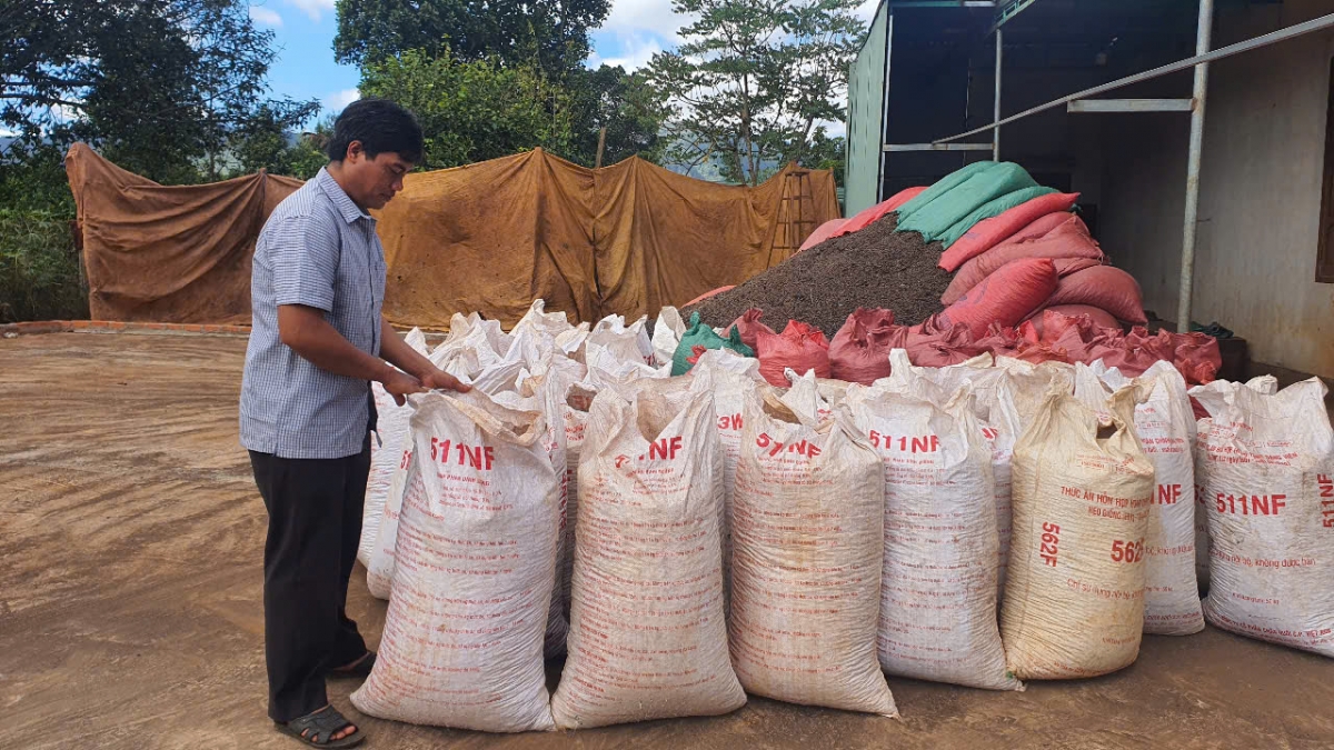 Kơhnâ, mơ-eăm chiu pá, hên ngế hdroâng kuăn ngo a Gia Lai hiăng pêi lo liăn châ rơtal ing kơphế, tiu...