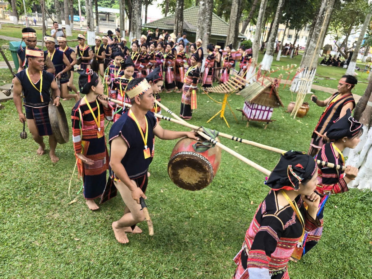 Mâu hơnăm achê kố, tơdroăng rêh ối dêi mơngế hdroâng kuăn ngo a Gia Lai châ pơhlêh nhên, mâu khôi túa lĕm tro châ rak vế, mơnhông