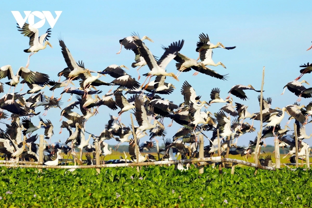Sông Đầm tại thành phố Tam Kỳ, tỉnh Quảng Nam có mức độ đa dạng sinh học cao, có nhiều loài động thực vật quý hiếm.