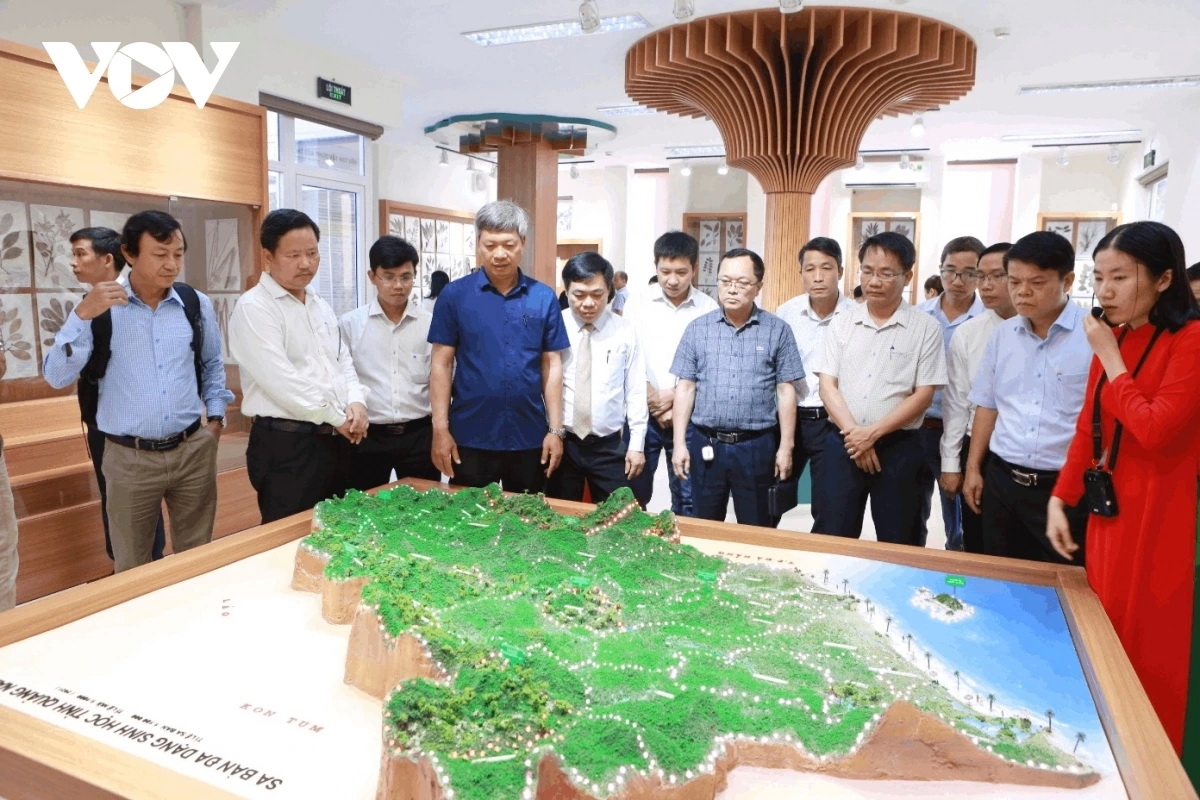 Quảng Nam tổ chức nhiều hoạt động hưởng ứng Năm phục hồi đa dạng sinh học quốc gia.