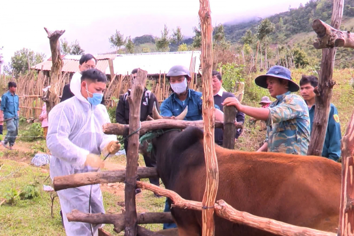 Pơlât pơreăng tơlêa mông rơkong, tơlŏng kơchup chêng ăm kơpôu, ro a Kon Tum
