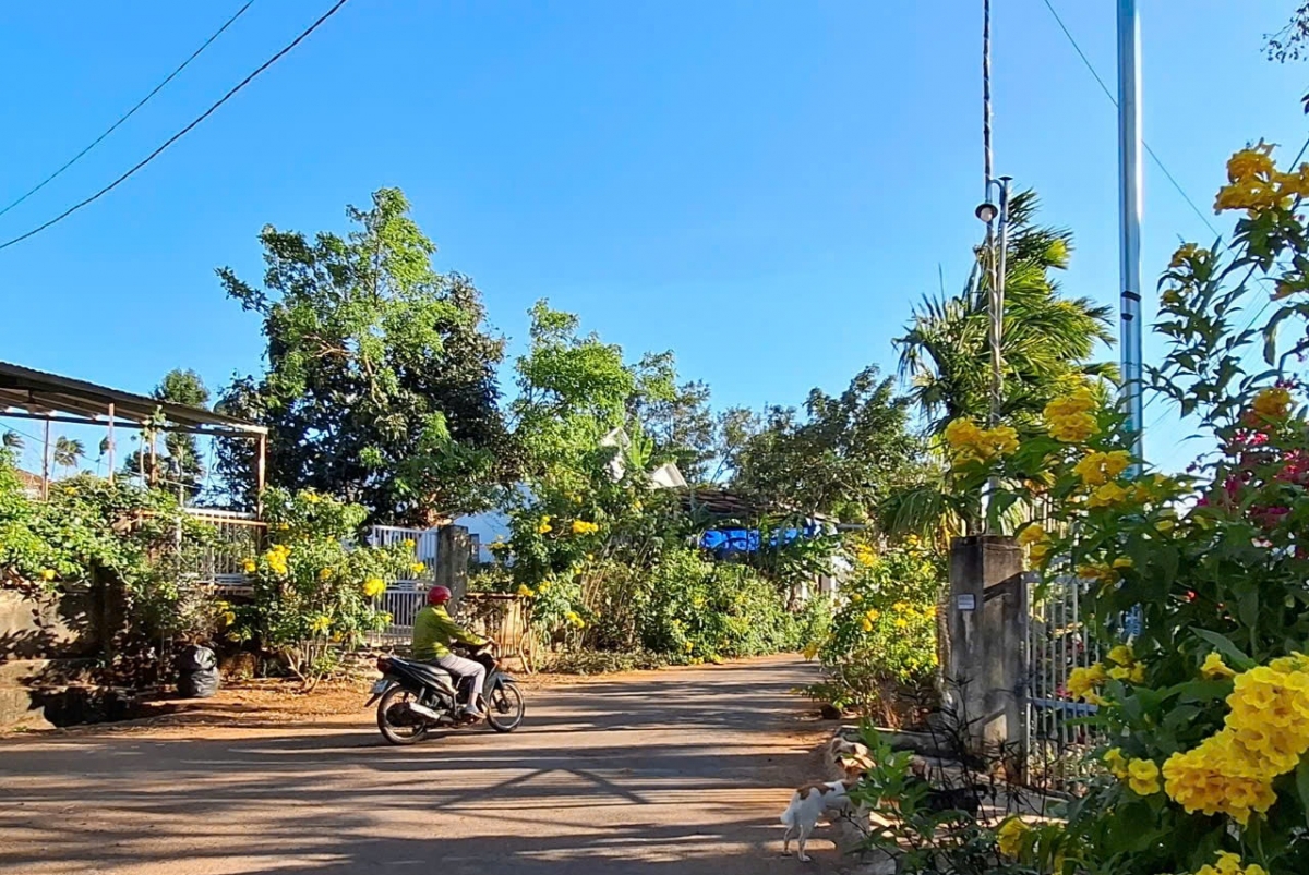 Pơkao Huỳnh Liên lơ̆m Ăp Hòa Bình chăl hle.