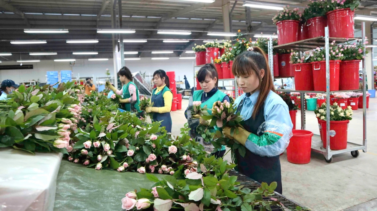 Ƀòn dờng Dà Làc lơh ngan tăc bơkào mờ lơgar bơdìh geh 200 tơlăk dolar Mỹ tàm 5 nam tus 