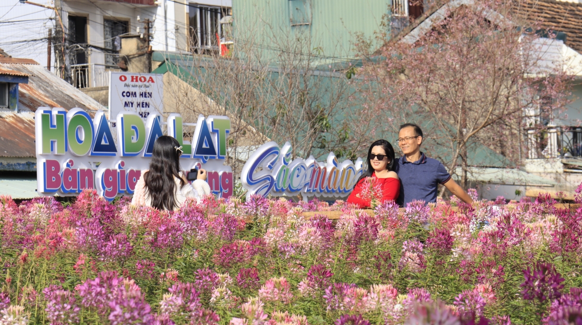 
Năc lòt  nhơl tus mờ càr Lâm Đồng