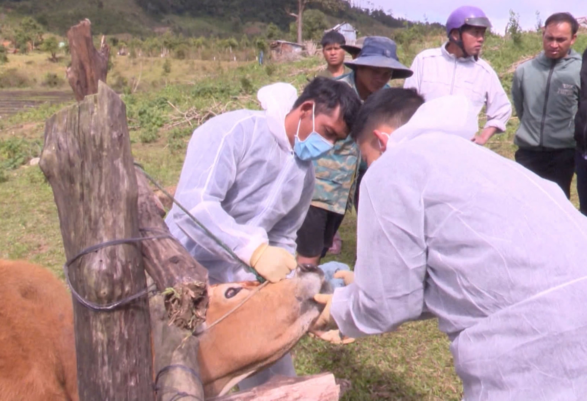 Kăn ƀô̆ ngăn mơnăn dế pơlât kơpôu, ro ki tro pơreăng tơlêa mông, tơlŏng kơchup chêng