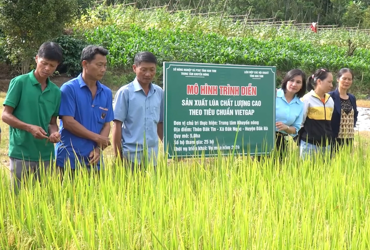
Tơdrong jang ƀa 'lơ̆ng tơ̆ xah Đăk Ngọk