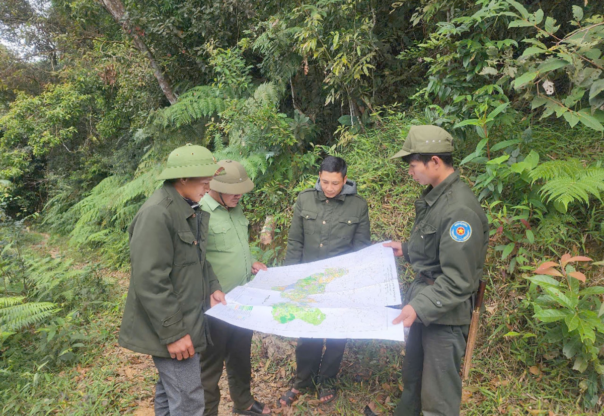 Trong những ngày Tết, lực lượng chức năng Kon Tum vẫn thường xuyên canh trực quản lý bảo vệ rừng.