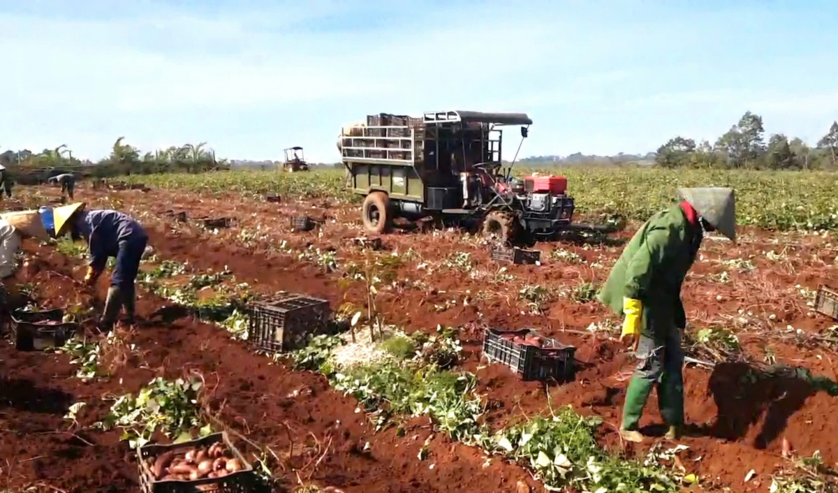 
Kon pơlei jang mir Đăk Lăk pơtơm jang rô̆ ƀum iĕ