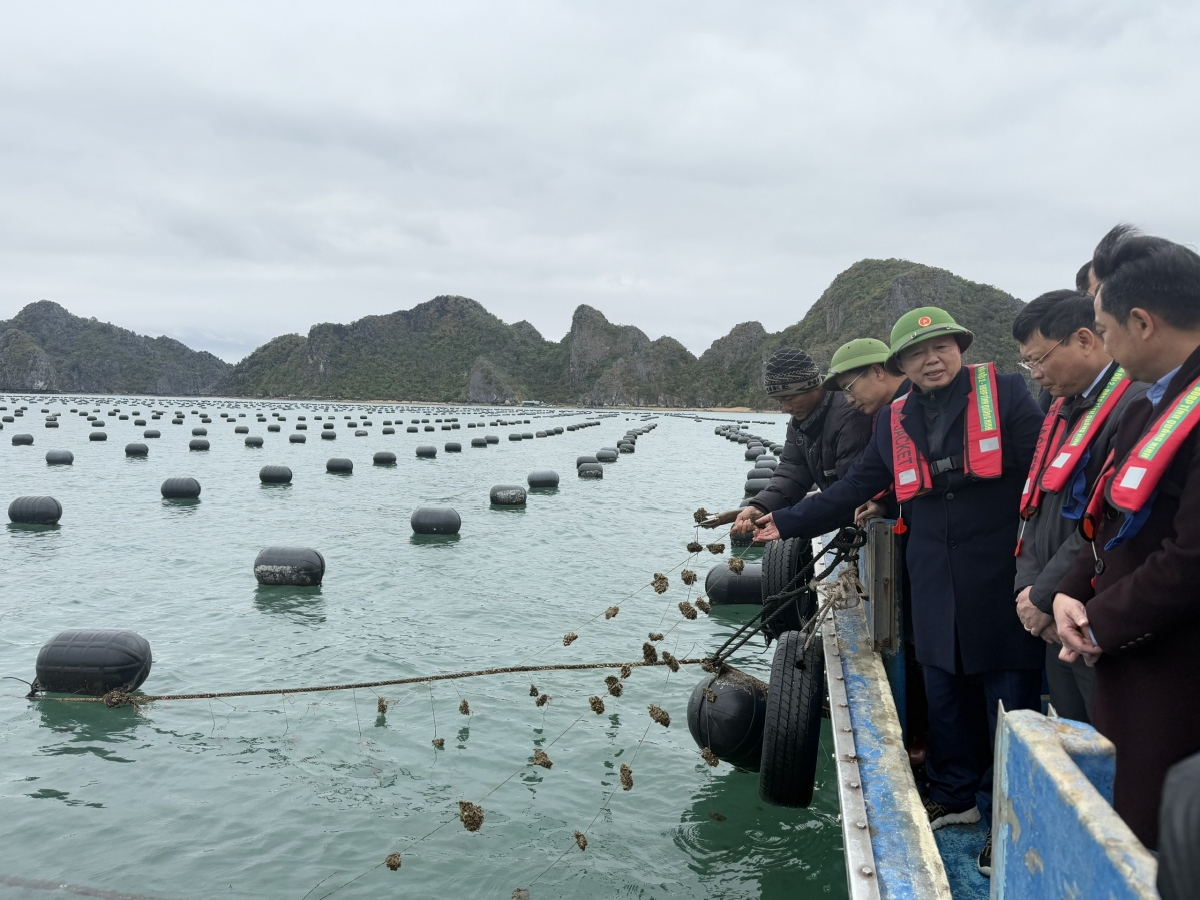
Phó Thủ tướng ồng Trần Hồng Hà đơs, tơngkah uă broă tàm gah ròng phan tàm dà lền