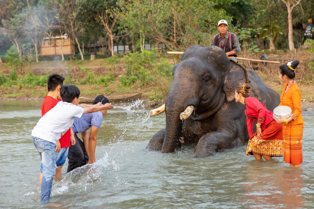 Dôm tour tơmang pơhiơ̆ đei chiha kŏm lơ tơdrong, tơguăt hăm joh ayŏ kơ tơring