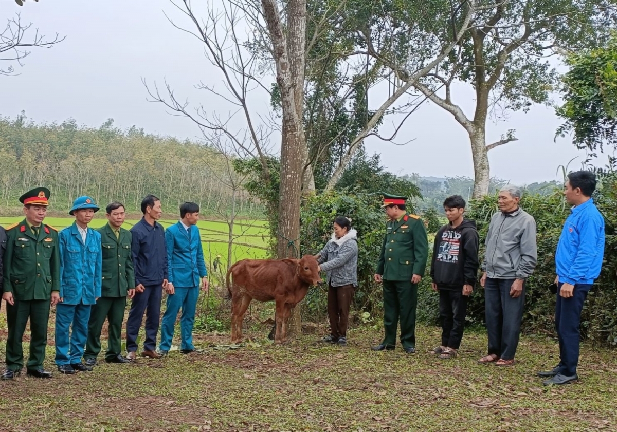 Trao bò giống tạo sinh kế giúp gia đình hoàn cảnh khó khăn có thanh niên nhập ngũ.
Ảnh: Thanh Hiếu/VOV Miền Trung
