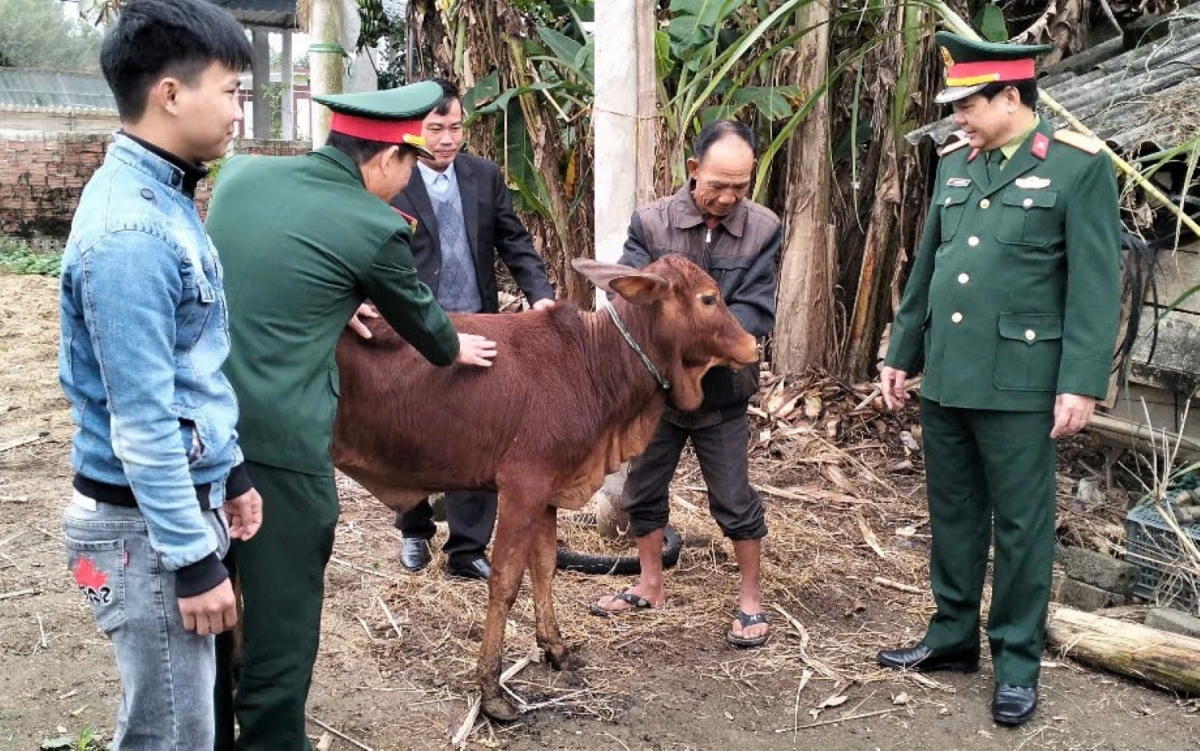 Trao bò sinh kế hỗ trợ gia đình khó khăn có thanh niên nhập ngũ.
Ảnh: Thanh Hiếu/VOV Miền Trung