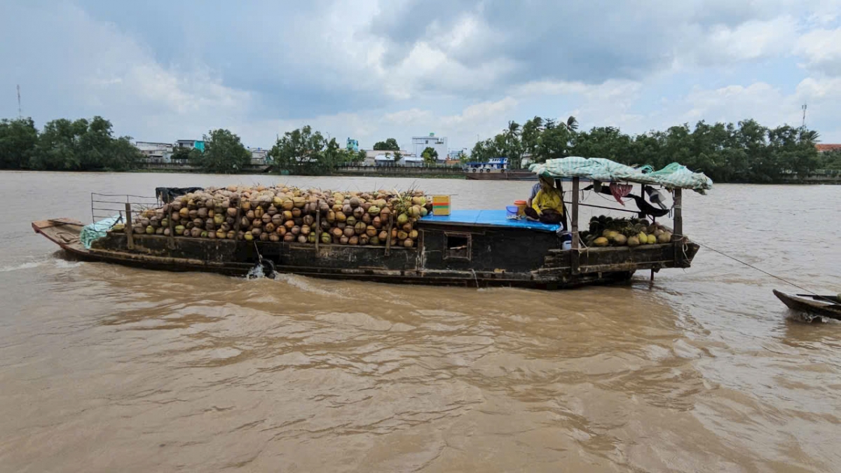 Triều cường kéo theo nước mặn đang xâm nhập vào hệ thống sông rạch của tỉnh Bến Tre