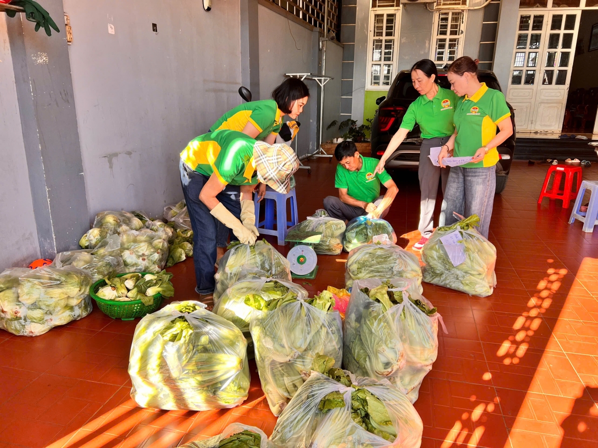Các cán bộ Hội Nông dân phường Thống Nhất, thành phố Pleiku giúp bà con tiêu thụ rau