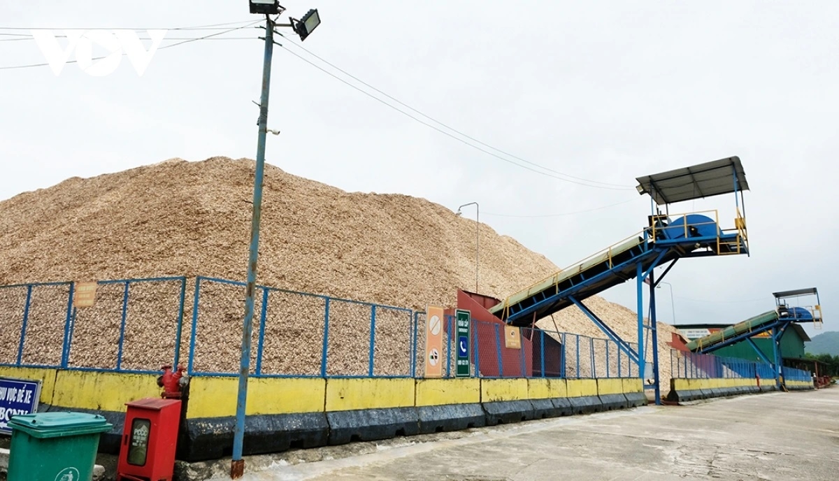 Những nhà máy dăm gỗ, sản xuất viên nén sử dụng vùng nguyên liệu keo ở Ba Tơ