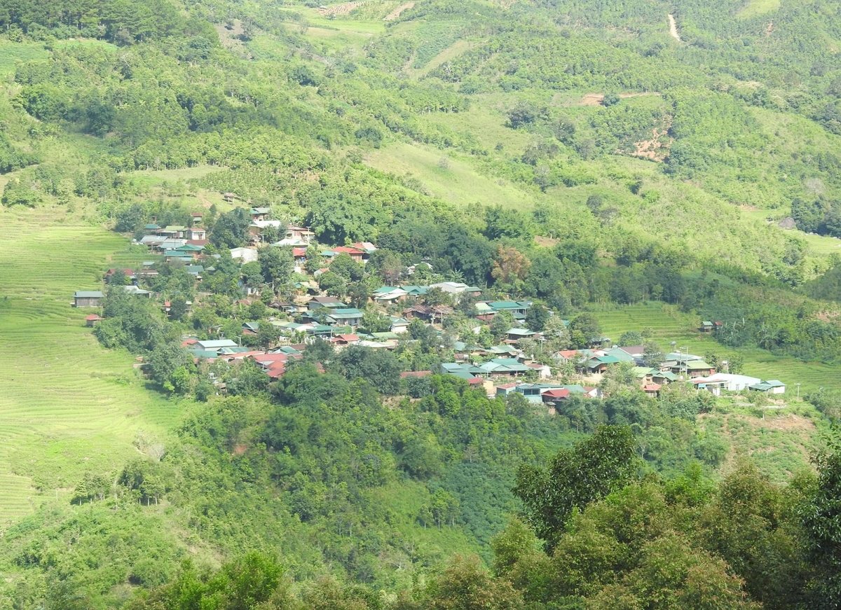 Pơlei bơngai Xdang tơ̆ tơring pơtăm sâm Ngọc Linh tơring Măng Ri, apŭng Tu Mrông, dêh char Kon Tum.