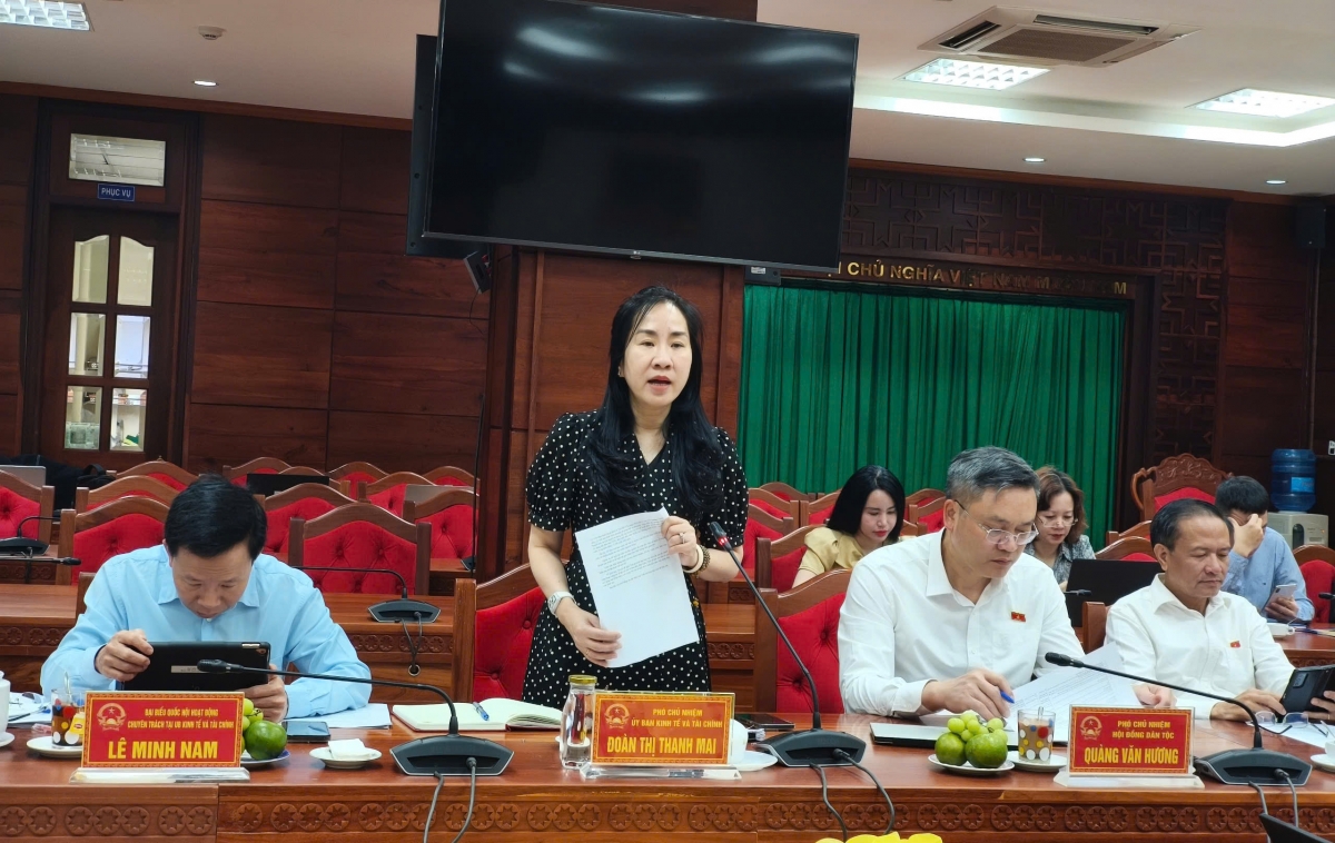 Mò Đoàn Thị Thanh Mai, Kong kơnòl Anih duh broă Lơh sa Quôk hội dê đơs sồr lơh tàm dơ̆ lơh broă mờ càr Dăk Lăk